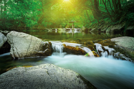 Sustainability_News_Press_Release Sustainability_News_Press_Release